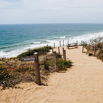 Torrey Pines snr
